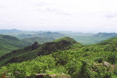 英山：开展“清洁庭院 巾帼行动” 扮靓家园迎宾朋