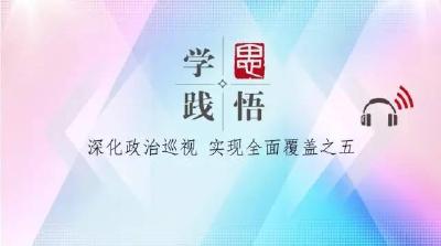 【学思践悟】（二十二）一届任期全覆盖——深化政治巡视 实现全面覆盖之五
