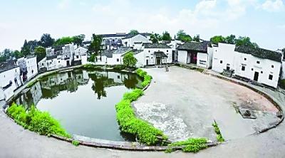 探寻中医药文化神采