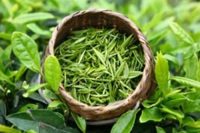 英山云雾茶新形象亮相江城 获市民点赞