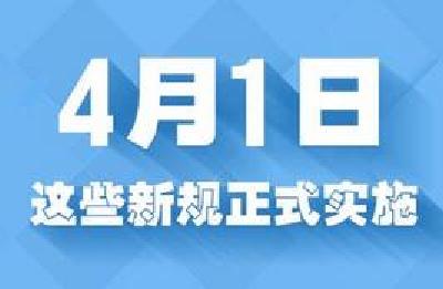 今天是愚人节,但这些新规可不是开玩笑……