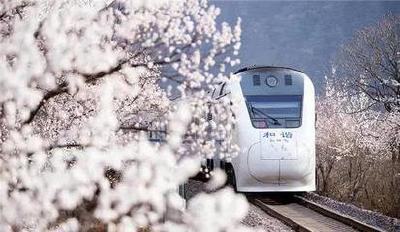 居庸关“花海列车”走红后屡被逼停，村民被迫封路…  