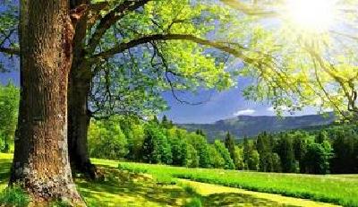 省工商局来我市调研