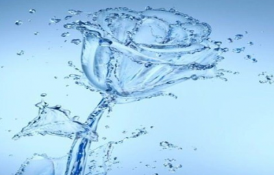 浠水：盘活内源 创新驱动 高新技术企业引来活水 