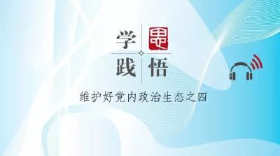 【学思践悟】（二十九）两学一做 坚定自信——维护好党内政治生态之四