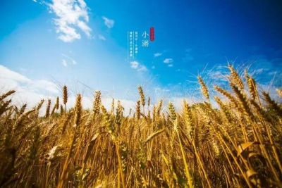   今日小满！二十四节气为啥没“大满”你知道吗？