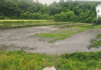 麻城一养鸡场非法排污被立案查处