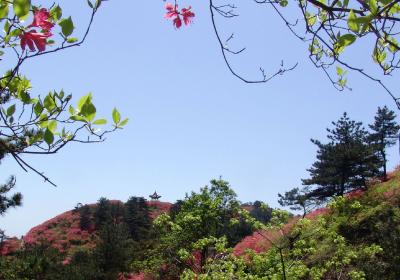 麻城：漫水桥“升级”  涨洪水也能过河了