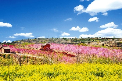 英山“踏青赏花”引爆春游市场