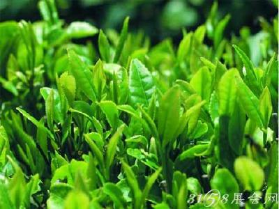 英山：韩婆墩村级自强互助合作社  助力脱贫