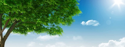 副省长曹广晶来我市调研督办项目建设    
