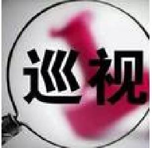 【巡视工作】2016年湖北省委第三轮巡视公布向湖北大学党委等50家单位反馈情况，黄冈有3家