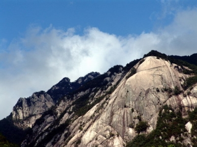 英山：  四季花海行活动
