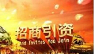 刘美频专题调研市区招商引资重点项目 