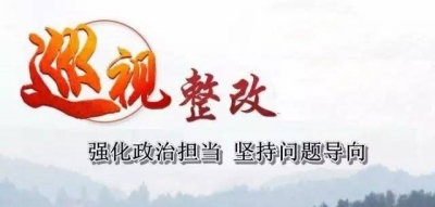 【今日头条】强化政治担当 坚持问题导向 我市开展巡视整改“回头看”工作取得实效
