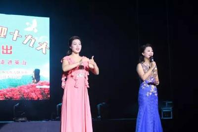 省残疾人艺术团来英山演出——残缺之美 震撼心灵