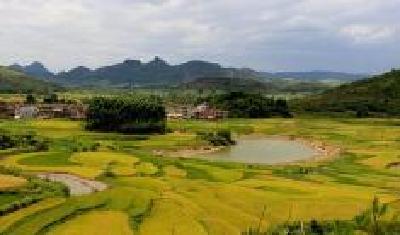 黄梅全域旅游引客来 推进乡村旅游与现代农业