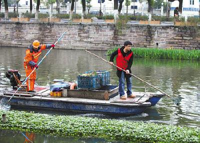 红安：清理河道垃圾 守护“母亲河”