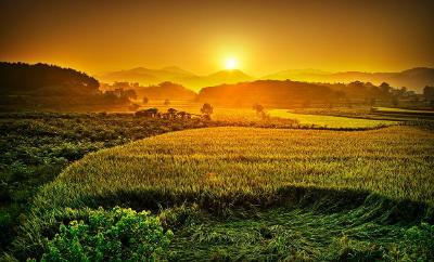 罗田县河铺镇林家咀村美丽乡村建设提升群众获得感