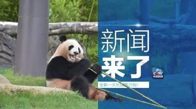 央视新闻｜新闻来了〔2017.06.05〕  