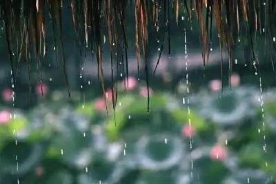 梅雨季第三轮降雨启程 今起湖北多地将迎大暴雨