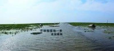 龙感湖管理区有效应对入梅首轮强降雨