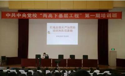 武穴打好基层党建“整市推进”工作“组合拳”