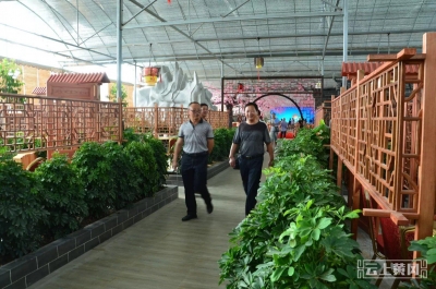 热土地上的追梦人——记湖北仟禧生态农业开发有限公司董事长闻得青 