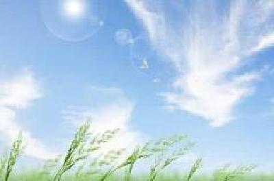 罗田用“一号标准”推进“一号工程”