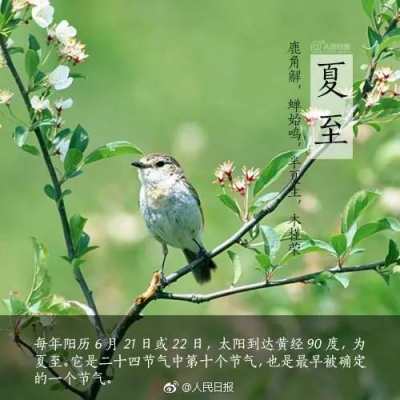 今日夏至！做这3件事的最佳时机来了