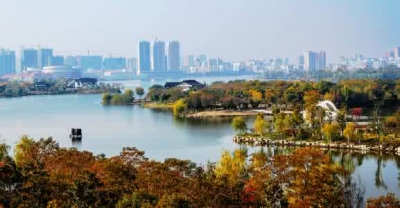 【今日头条】怎么从8900万党员中挑选出2300名十九大代表？