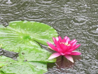 黄冈水雨情快讯