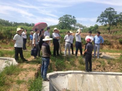 省委农工部、省纪委派驻省委办公厅纪检组专题调研我市高标准农田建设廉政风险点防控机制建设情况