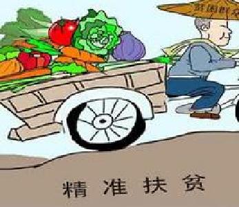 黄冈发布17个精准扶贫典型案例 实现16万人脱贫