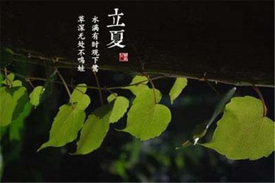 21日夏至：草深无处不鸣蛙