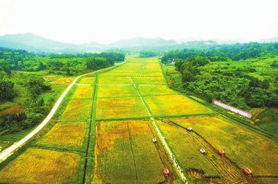 蕲春：围绕“一县一区”战略定位  打造多功能乡村旅游示范村