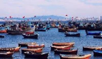 浠水开展长江渔业资源增殖放流活动