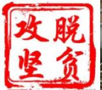 聚力脱贫攻坚 激发代表履职热情