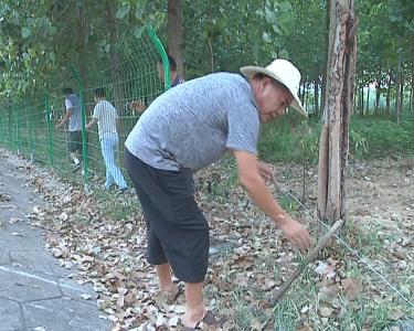 黄冈城区实施江滩“禁种”   还原长江滩岸生态湿地