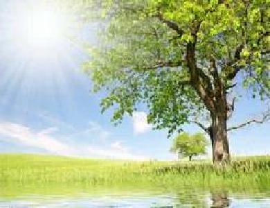 市委中心组举行法治理论专题学习