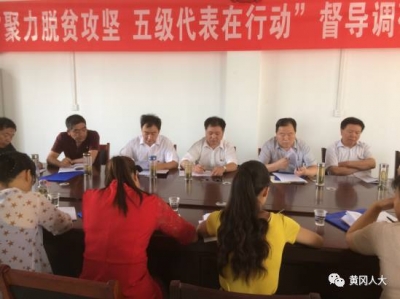 黄冈市人大常委会副主任梅咏成到红安县高桥镇参加“聚力脱贫攻坚、五级代表在行动”活动