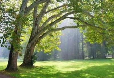 市政协召开提案承办大户集体协商会