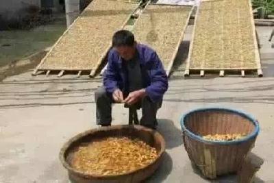 今日大暑，最热的“七下八上”来了！这些习俗你知道吗？