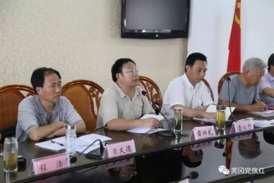 大调研大督办 推动黄州区基层党建“整区推进”全面提升