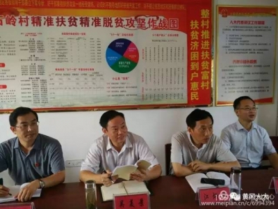 市人大常委会副主任吴美景参加蕲春县青石片代表小组活动