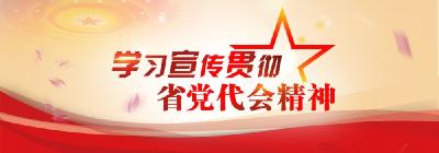 市城投公司党组学习贯彻省党代会精神