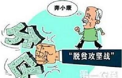 梅川镇人大代表聚力脱贫攻坚在行动