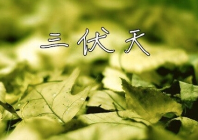 明天入伏高温直逼35℃ 今年三伏天又是40天