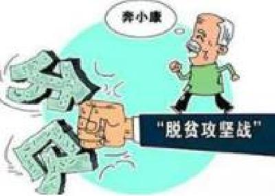 黄州区：开展聚力脱贫攻坚·五级代表在行动第一次活动