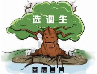 我市2017年湖北省选调生岗前培训班开班